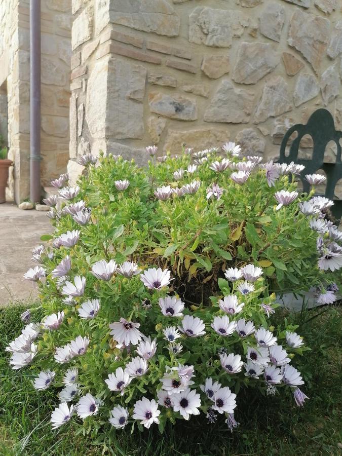 B&B COLdiFIORE Penna in Teverina Exterior foto