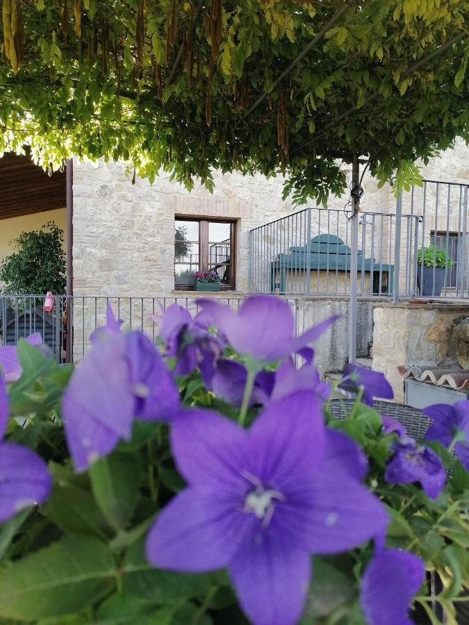 B&B COLdiFIORE Penna in Teverina Exterior foto