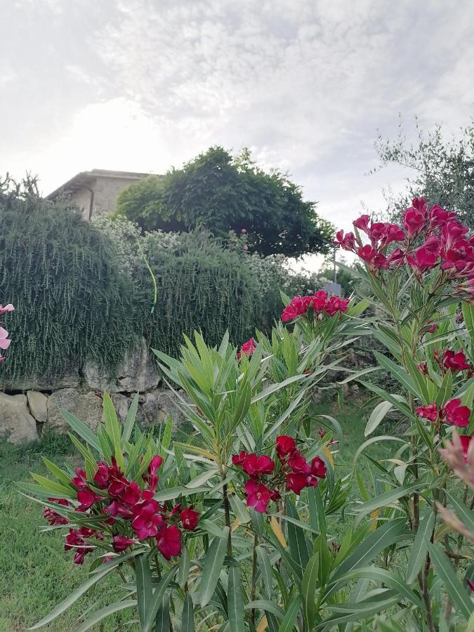 B&B COLdiFIORE Penna in Teverina Exterior foto