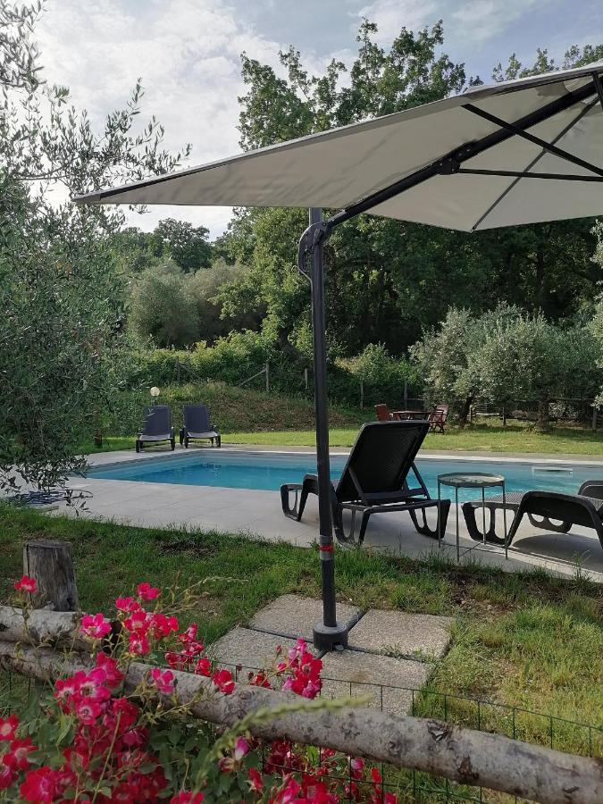 B&B COLdiFIORE Penna in Teverina Exterior foto
