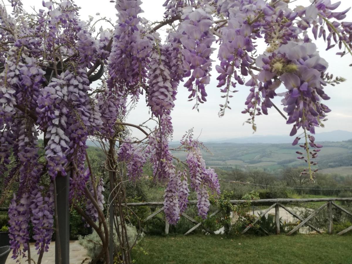 B&B COLdiFIORE Penna in Teverina Exterior foto