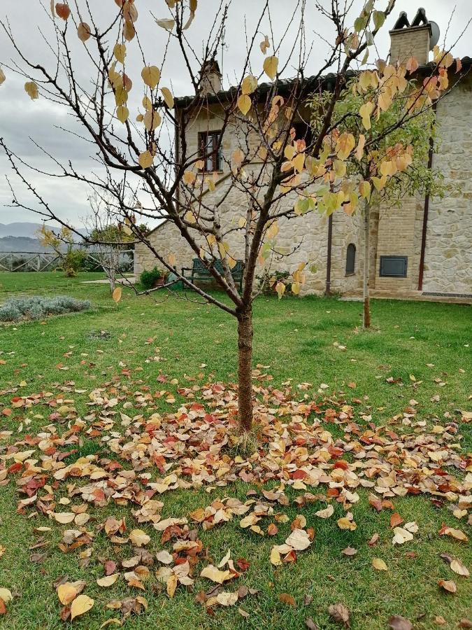 B&B COLdiFIORE Penna in Teverina Exterior foto