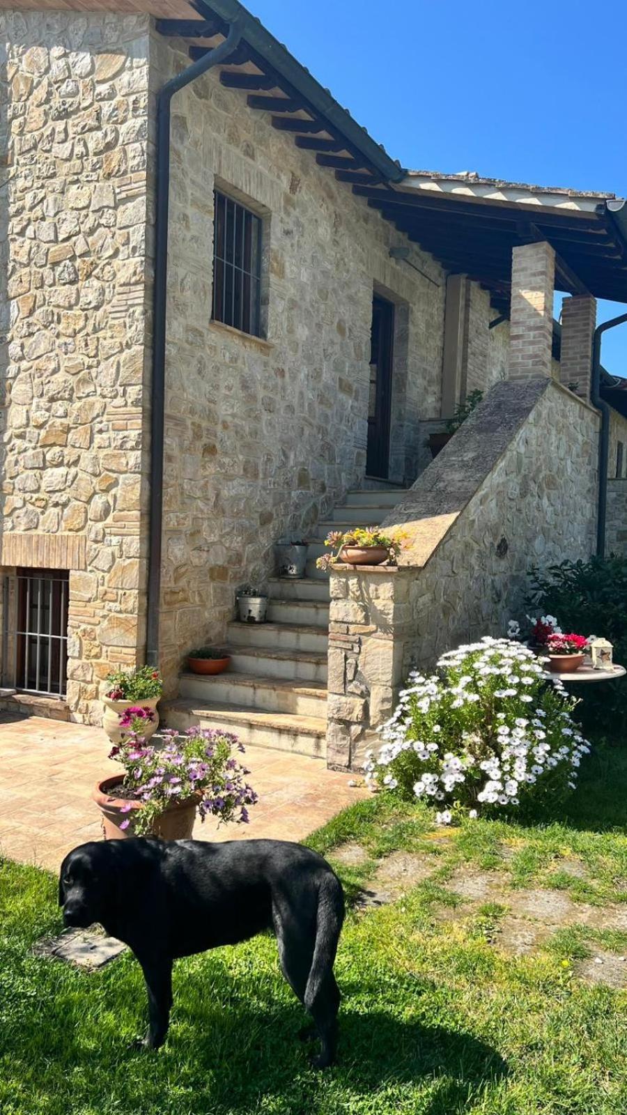 B&B COLdiFIORE Penna in Teverina Exterior foto